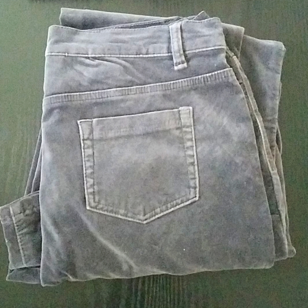 DG2 grey velvet pants boot cut